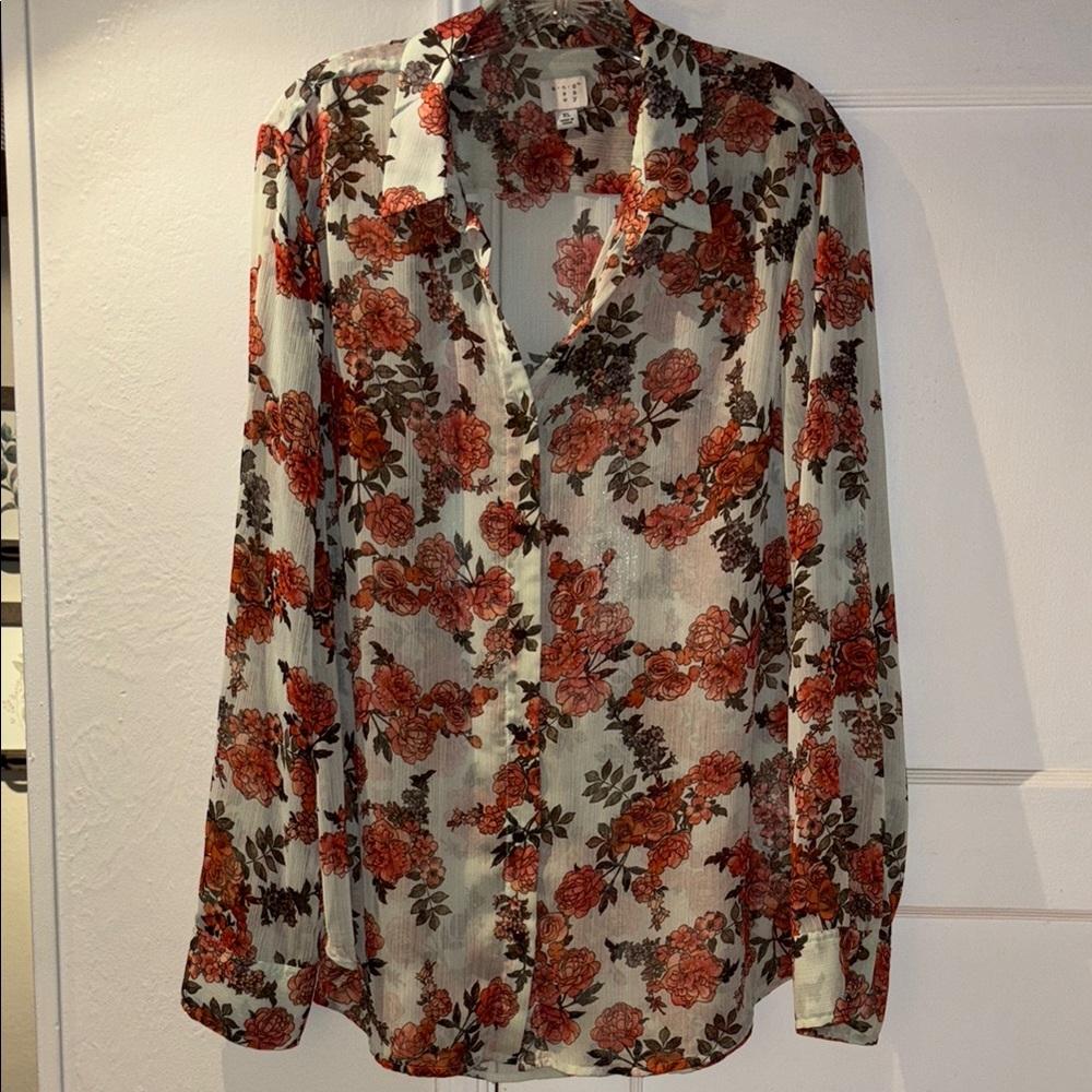 Sheer long sleeve button up blouse